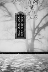 Schatten vom Baum an Fassade einer Kirche mit Kirchenfenster