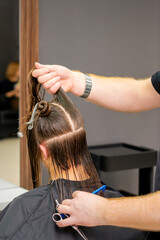 Fototapeta premium Male hairdresser holds and splits long hair of a young brunette woman in a hair salon