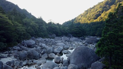 屋久島 屋久杉 縄文杉トレッキング 国立公園 鹿児島