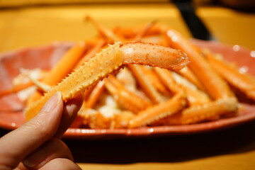 Hand holding Zuwai Crab (Zuwai-gani) leg on pile of crab background in Japan, Closeup - ズワイガニ 福井 日本