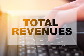TOTAL REVENUES- man counts on the computer at work