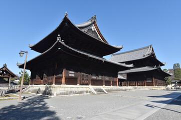 Fototapeta premium 妙心寺 仏殿と法堂 京都市