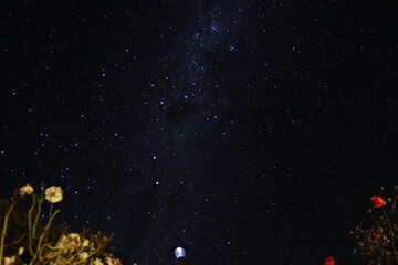 stars