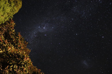 black and white background