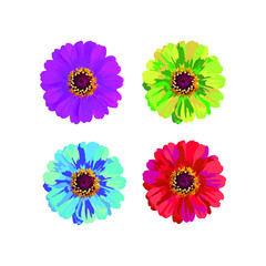 Fototapeta na wymiar Vector Natural flower 4 colors in a white background.