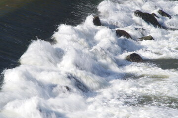 Weir of the Cascine on the Arno river in Florence, Italy