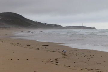 footprints on the sand