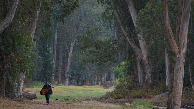 Solitary figure of a man with a guitar walking through a tunnel of trees