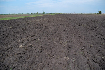 A plowed black soil field