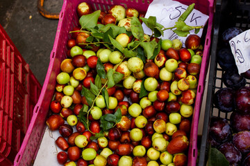 Jujube Fruit (Red Date / Chinese Date) in the Box at the Market in the City of Pollenca, Mallorca, Spain 2019 - 416011470