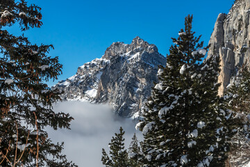 Paysage du Massif de la Chartreuse en hiver à l' Aulp du Seuil , Isère France
