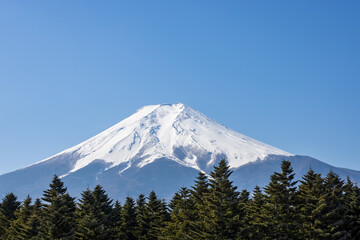 春の富士山と青い空と森