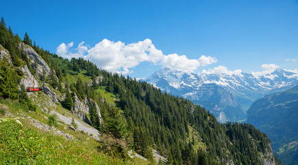 alpine landscape Schynige Platte, switzerland, with view to Bernese Alps