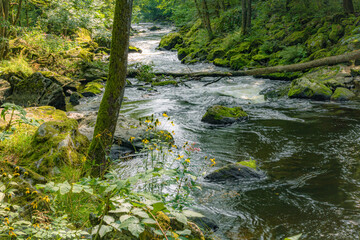 Das wilde Ilztal