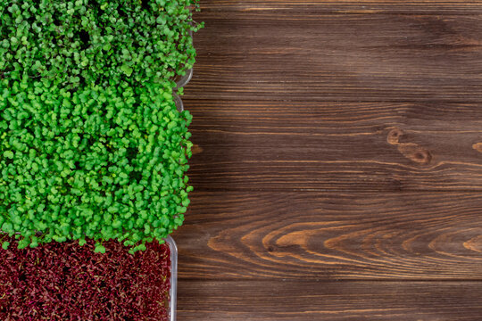 Microgreen sprouts of radish, rukula, amaranth on a wooden table. Vegan and healthy food concept. Growing seedlings. Place for an inscription. View from above.