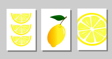 Set of posters with lemons. Illustration on white background with fruits. For home interior decoration and decor in restaurants, cafes, menus. Vector drawing.
