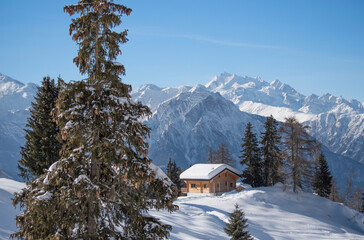 hut in the middle of the Swiss alpine mountains surrounded by snow and trees