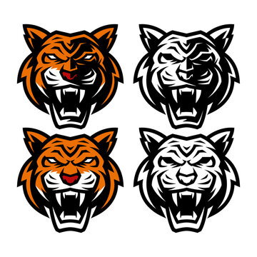 tiger head mascot logo and illustration