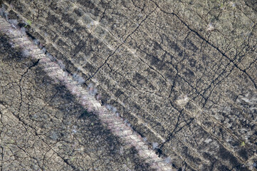 aerial view over the Riga gulf coast