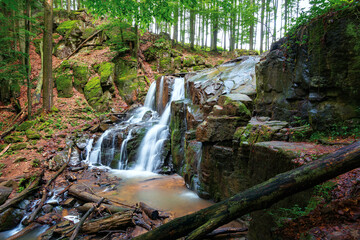 Fototapeta premium beautiful waterfall out of the rock. scenic green landscape with wild river in spring. concept of beauty and freshness in nature