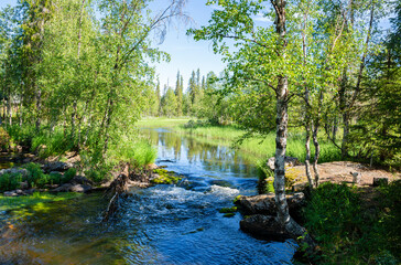 View of the rapids and forest, Akasmylly, Muonio, Finland