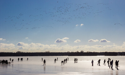 Flock of birds flying over the frozen lake in Groningen, Netherlands
