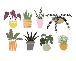 set with cartoon plants. colorful vector illustration, flat style. design for cards, print, poster, logo