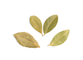 Dry Bay Leaves, Laurel Leaf Seasoning Isolated Top View