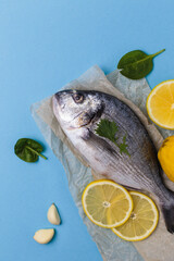 Raw dorado fish on baking paper with ingredients for cooking lemon, garlic and basil on blue background