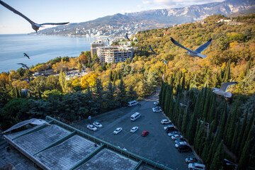 Yalta, Crimea, November 24, 2020, view of the city, sea, mountains and gulls from the balcony of the Yalta-Intourist Hotel