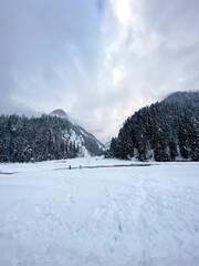 Scenic view of cold winter landscape with snow covered trees in Alps, Slovenia. Beauty of nature concept background.