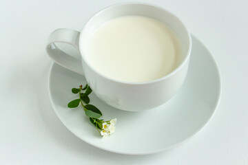 Obraz na płótnie Canvas a portion of fresh milk in a white dish on a white background, a sprig of a flower, beautiful, stylish, minimalistic