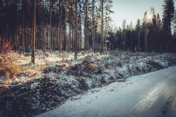 Droga biegnąca przez zaśnieżony las