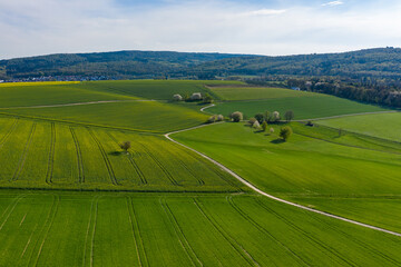 Naklejka premium Bird's eye view of a spring landscape from above in the Taunus / Germany 