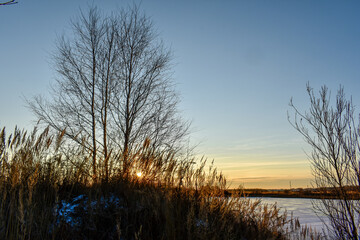 the first ice on the sun at sunset