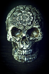 False bone skull on black background