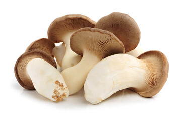 Shiitake mushroom on the White background 