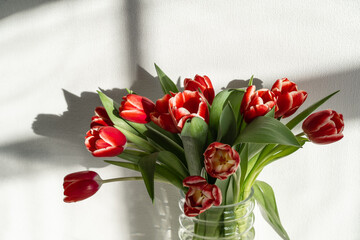 A bouquet of red tulips on a chest of drawers in the room..