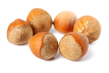 Hazelnut on white background