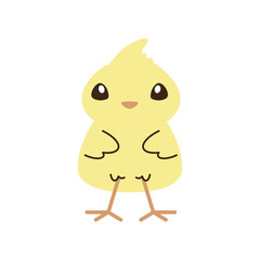 cute little chicken bird cartoon isolated style
