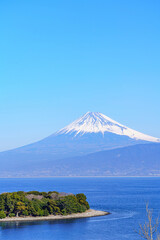Fototapeta premium 【静岡県】大瀬崎と駿河湾越しに見る富士山