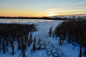 the first ice on the sun at sunset