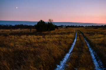 Fototapeta premium road through the field at dusk