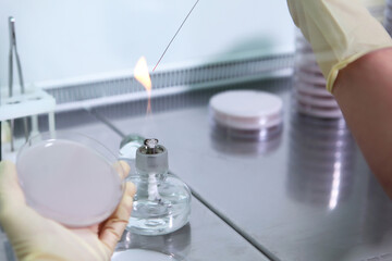 Development of a new vaccine. A vaccine against Covid 19. Alcohol burner. Clinical and diagnostic laboratory. An unrecognizable person. Only hands with protective gloves.