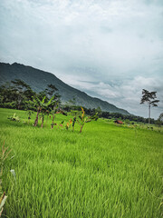 landscape with mountains