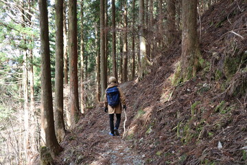 Fototapeta premium 梶ヶ森 登山