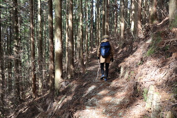 Obraz premium 梶ヶ森 登山