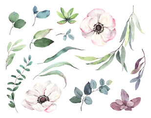 Floral set of flowers anemones, green succulent and colorful leaves. Watercolor collection design elements for invitation, greeting cards, banners, textile or decor.