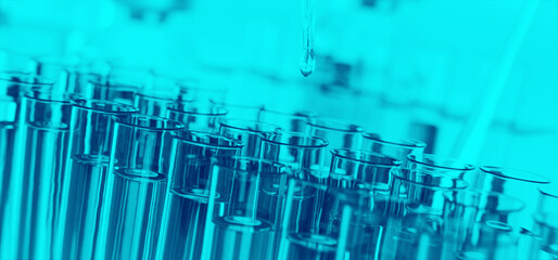 Reagenzgläser mit Flüssigkeit in Labor