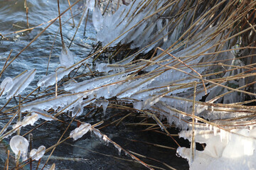 icicle caused by the wind on reed at the Zevenhuizerplas
